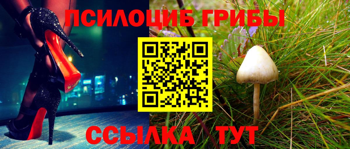 Галлюциногенные грибы прущие грибы Донской